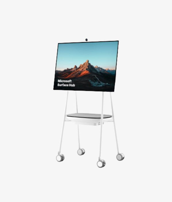 Microsoft Canvas Pro